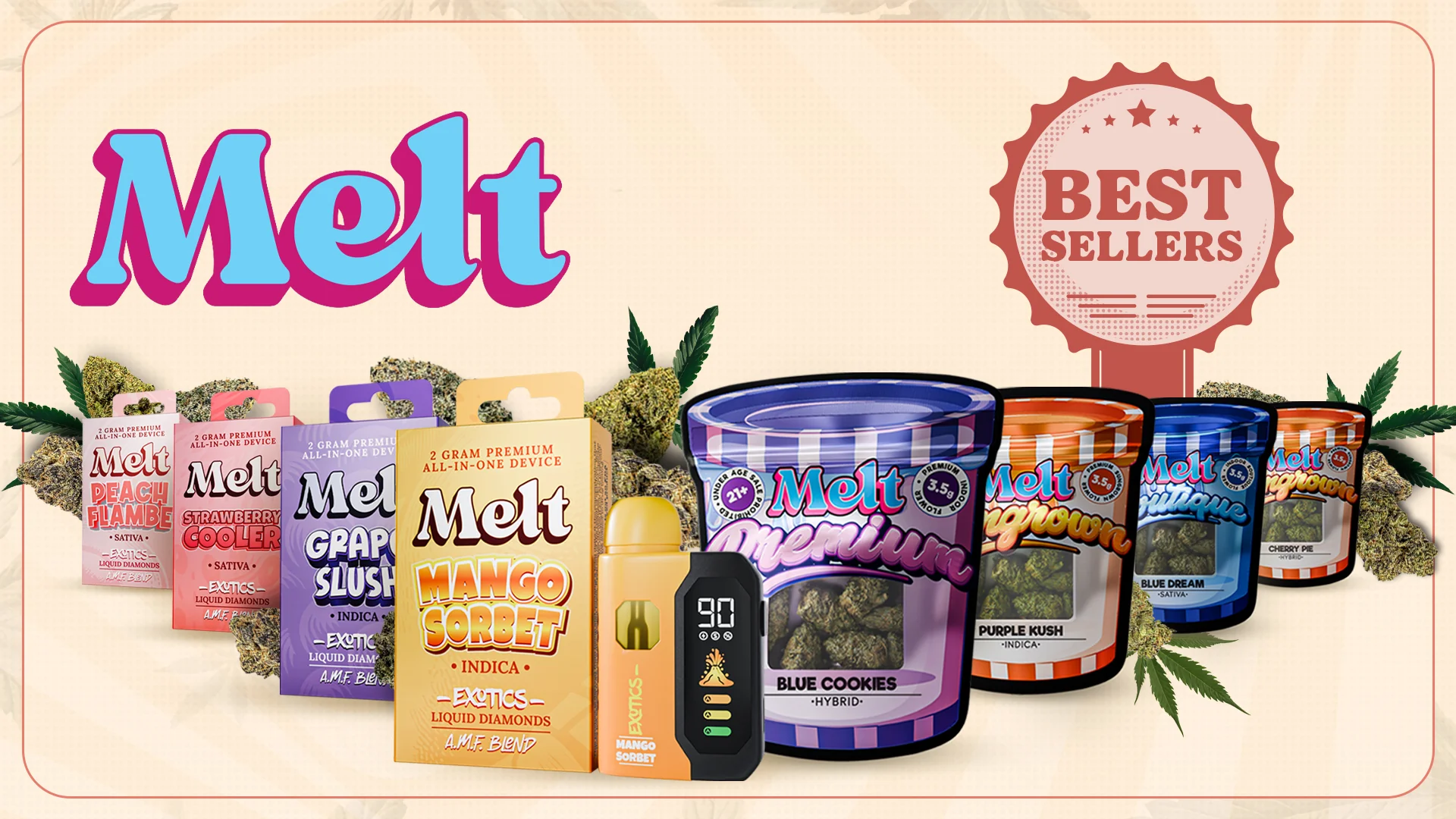 Elevate Your Vibe with Melt