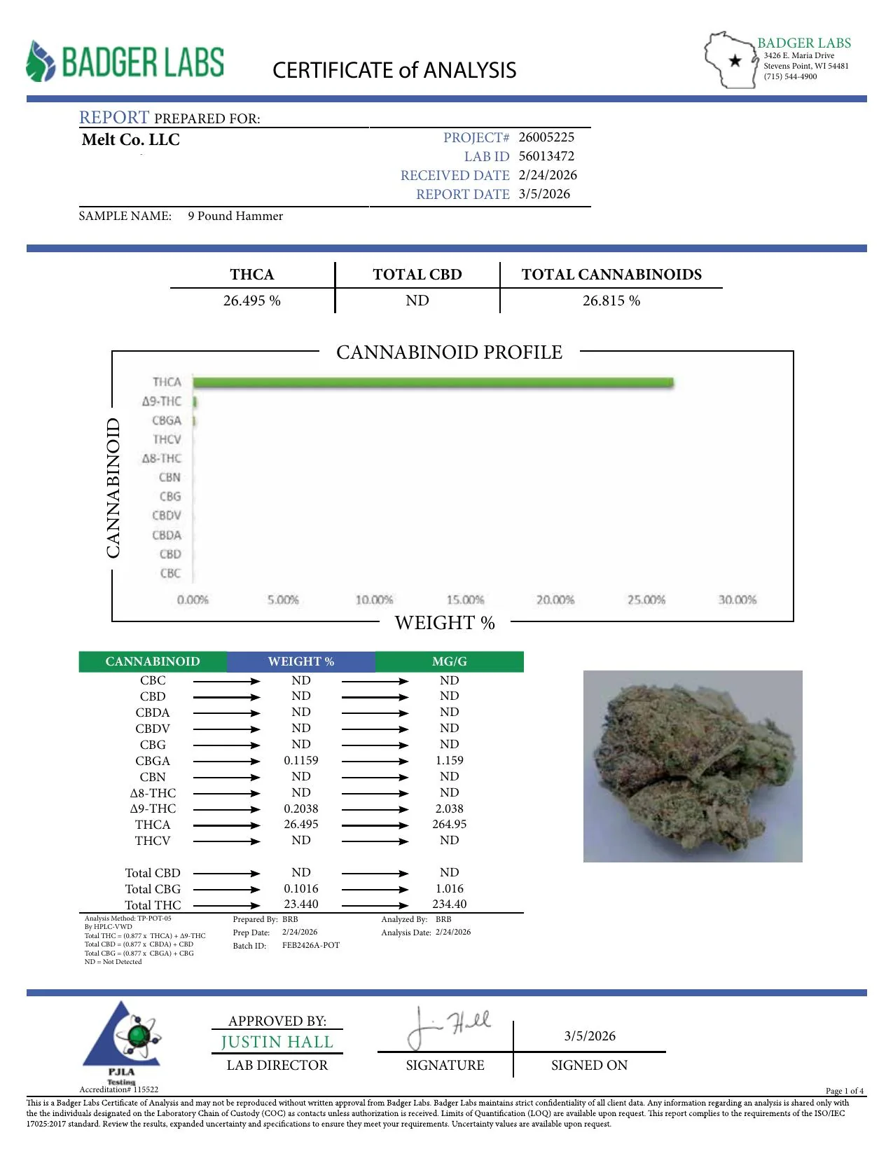 9 Pound Hammer Indica THCA Flower – Boutique Craft 3.5g Premium Cannabis Buds - Image 2