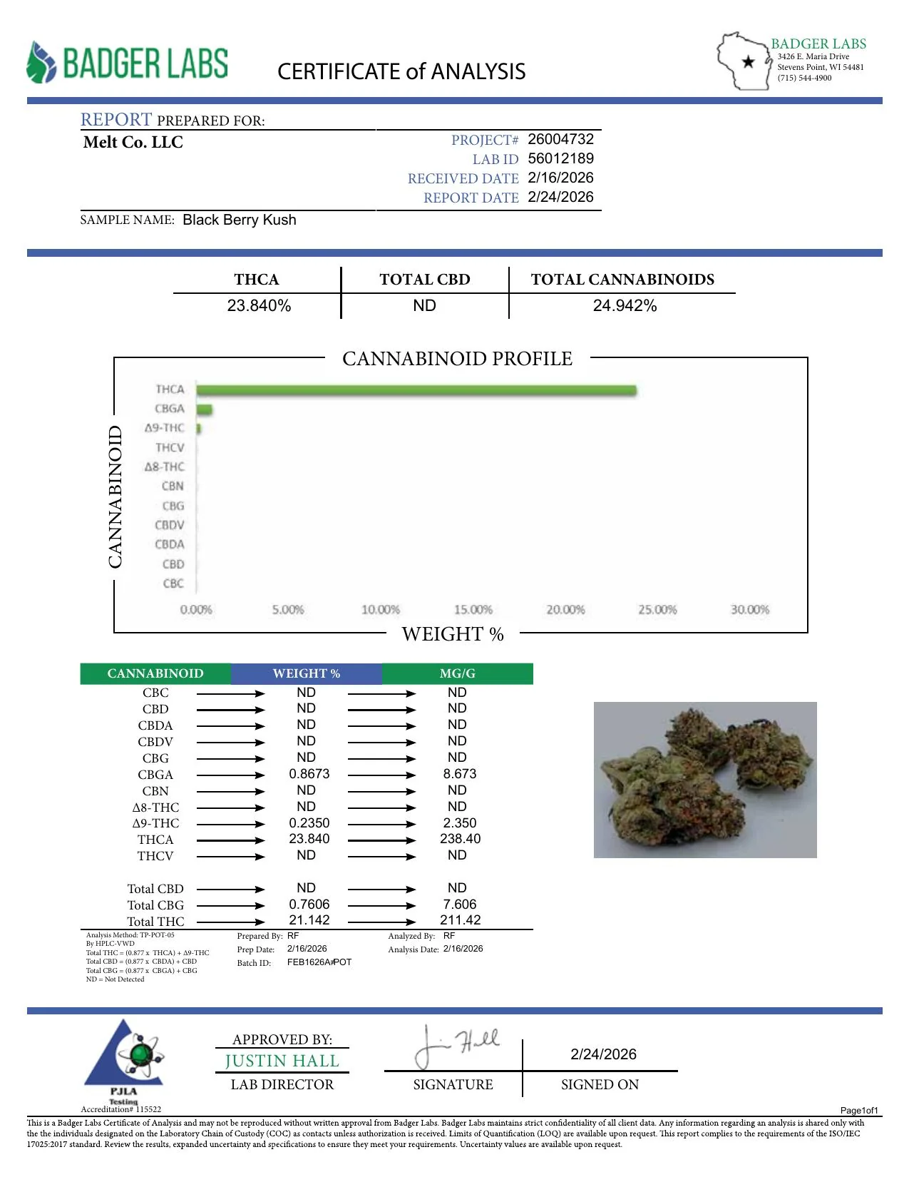 Blackberry Kush Indica THCA Flower – Boutique Craft 3.5g Premium Cannabis Buds - Image 2