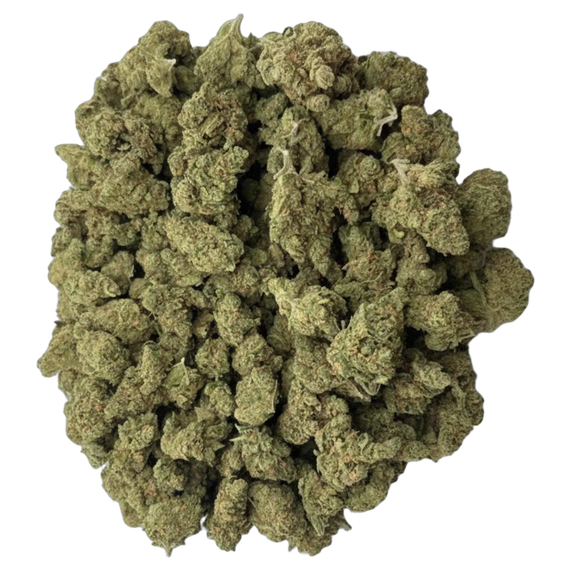Blue Dream Hybrid THCA Flower – Bulk 1/4 lb, 1/2 lb, 1 lb | Premium Indoor Cannabis
