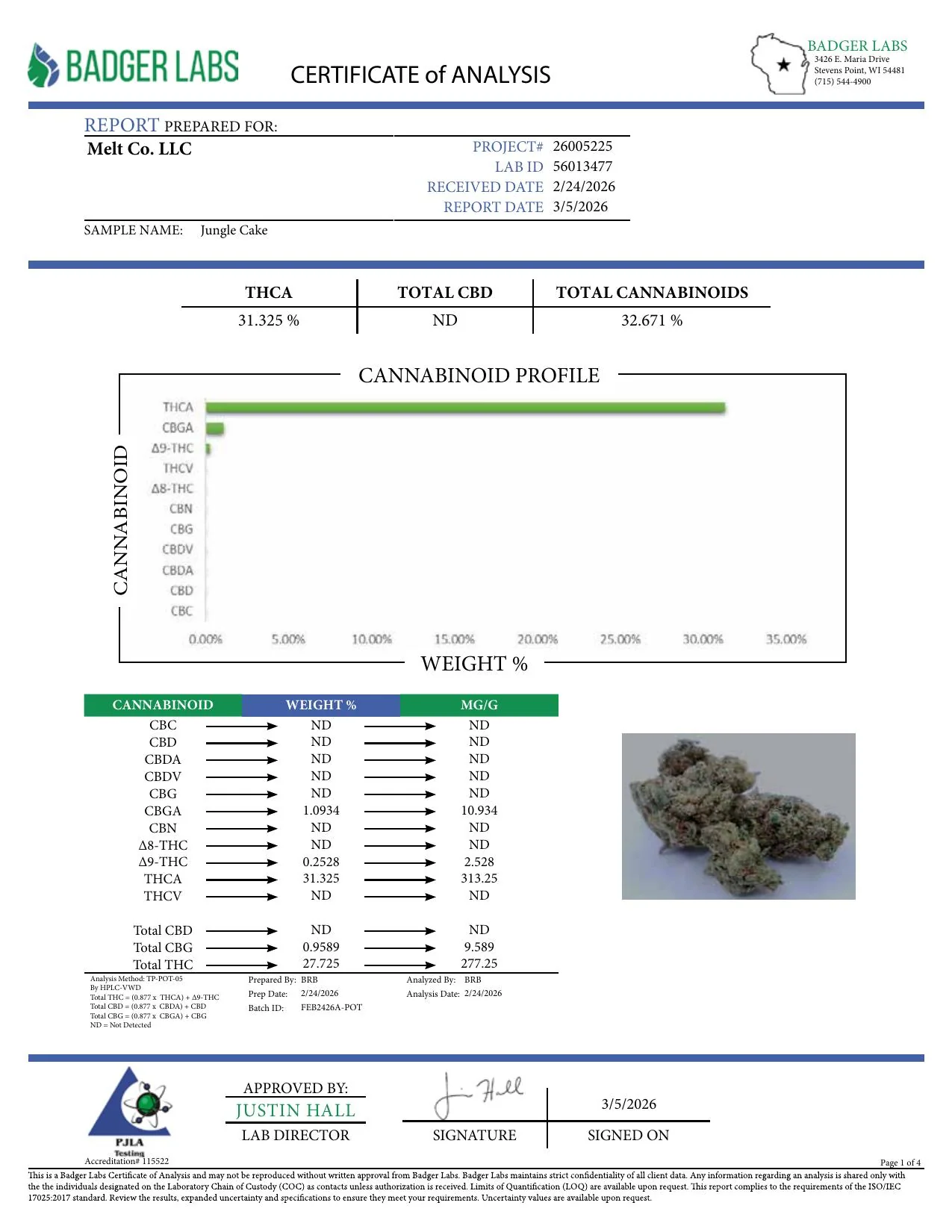 Jungle Cake - Hybrid (28 grams) - Image 2
