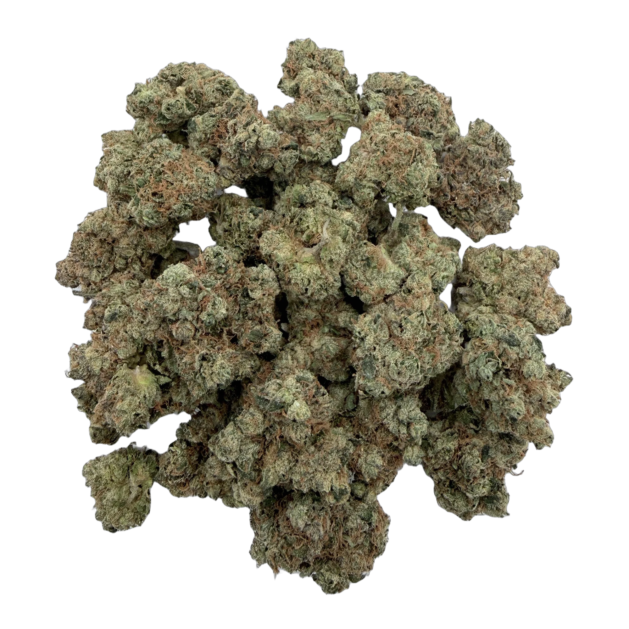 Lemon Tree Hybrid THCA Flower – Bulk 1/4 lb, 1/2 lb, 1 lb | Boutique Craft Cannabis