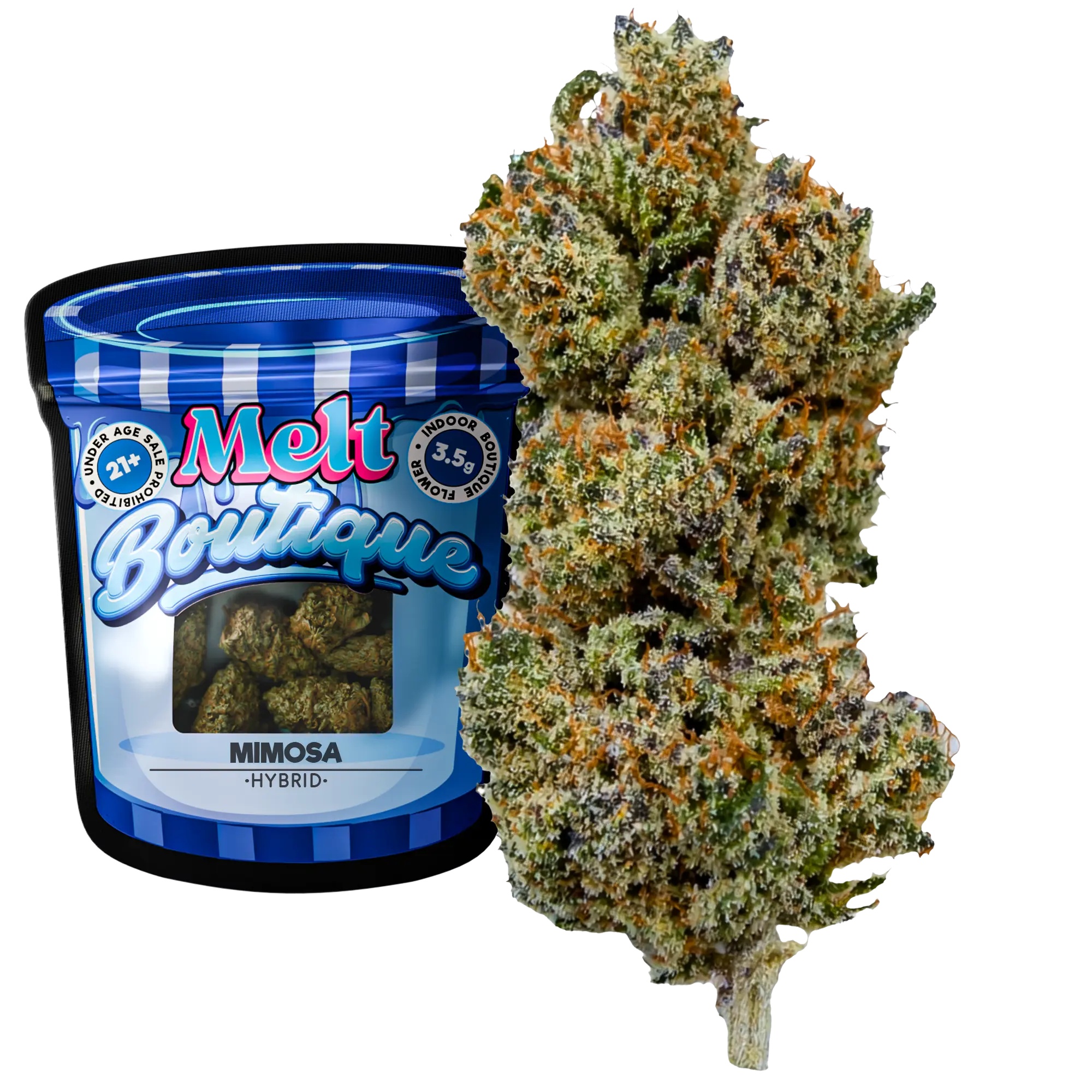 Mimosa Sativa THCA Flower – Boutique Craft 3.5g Premium Cannabis Buds