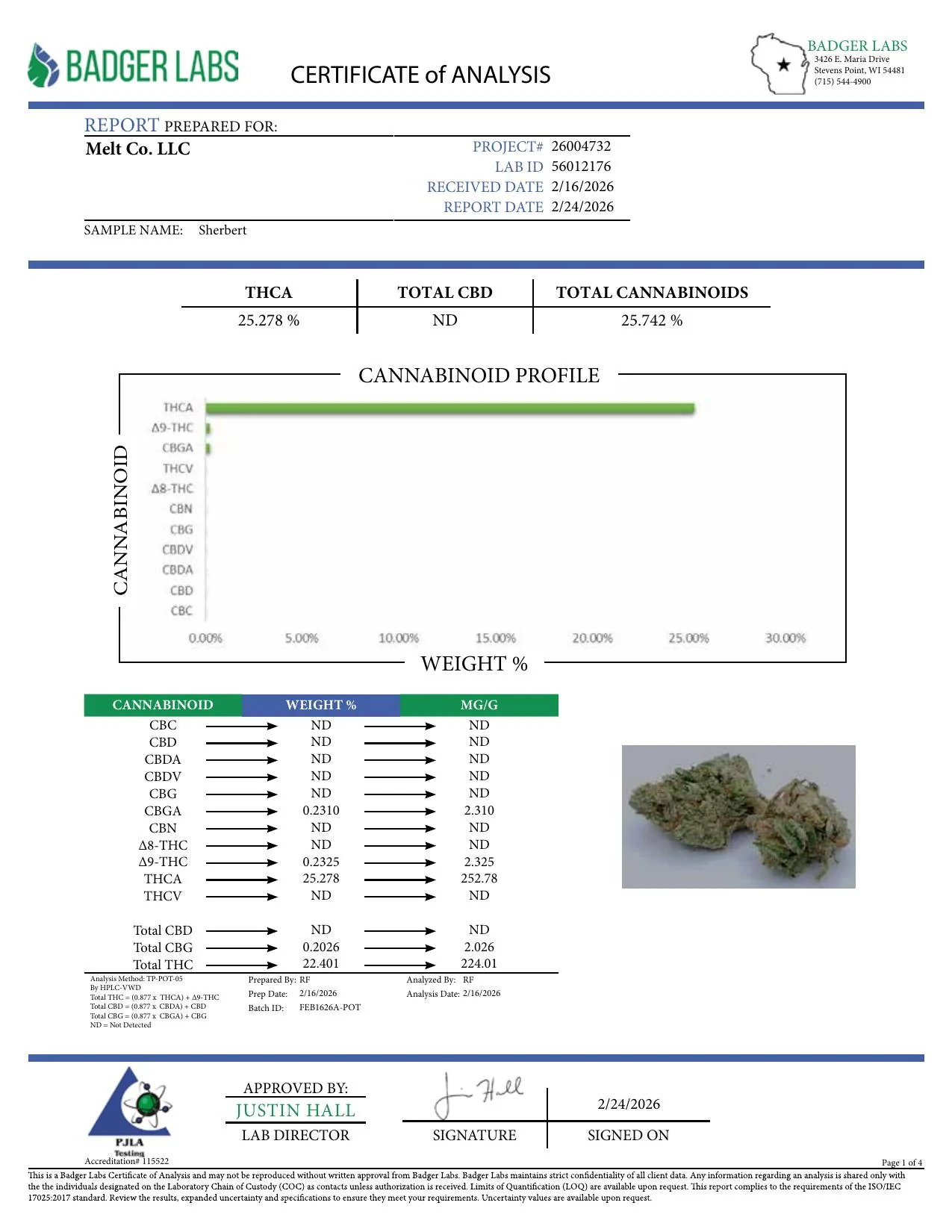 Sherbert Hybrid THCA Flower – Sungrown 3.5g Premium Cannabis Buds - Image 2