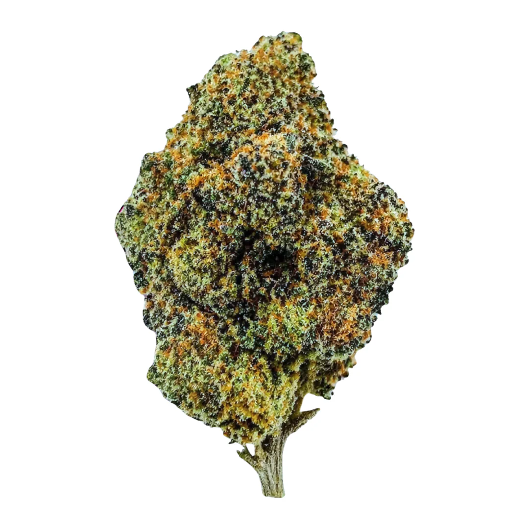 Sunset MAC - Hybrid (28 grams)
